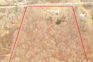 436 Tommy Irvin Rd, Mount Airy, GA 30563 - Photo 3