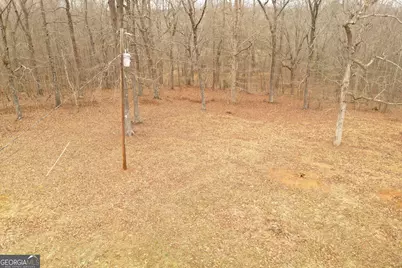 436 Tommy Irvin Road, Mount Airy, GA 30563 - Photo 23