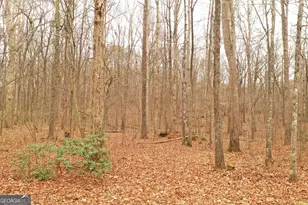 436 Tommy Irvin Rd, Mount Airy, GA 30563 - Photo 19