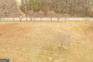 436 Tommy Irvin Rd, Mount Airy, GA 30563 - Photo 5