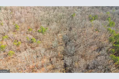 0 Davis Road, Eastanollee, GA 30538 - Photo 17