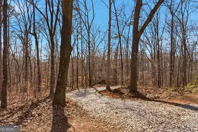 0 Davis Road, Eastanollee, GA 30538 - Photo 3