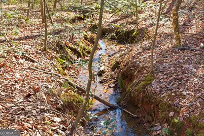 0 Davis Road, Eastanollee, GA 30538 - Photo 7