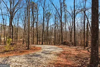 0 Davis Road, Eastanollee, GA 30538 - Photo 21
