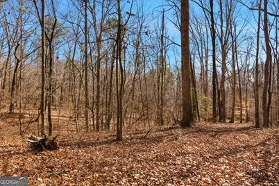 0 Davis Road, Eastanollee, GA 30538 - Photo 21