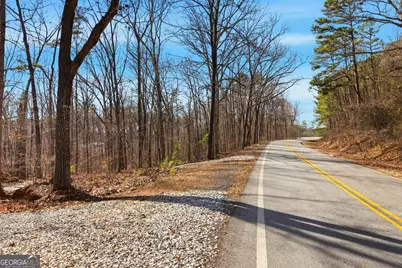 0 Davis Road, Eastanollee, GA 30538 - Photo 5