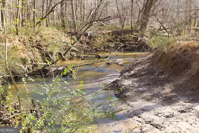0 Davis Road, Eastanollee, GA 30538 - Photo 3