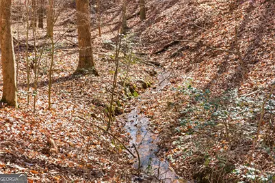 0 Davis Road, Eastanollee, GA 30538 - Photo 9