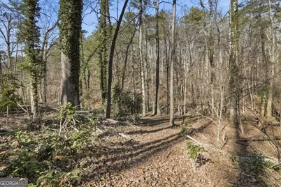 5560 Pilgrim Point Extension, Cumming, GA 30041 - Photo 39