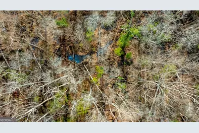 0 Riggs Mill La Riggs Mill Lane, Statesboro, GA 30458 - Photo 7