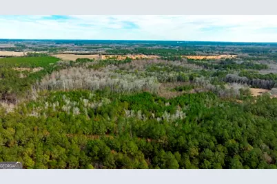 0 Riggs Mill La Riggs Mill Lane, Statesboro, GA 30458 - Photo 21