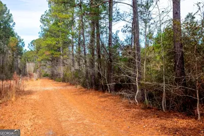 0 Riggs Mill La Riggs Mill Lane, Statesboro, GA 30458 - Photo 15