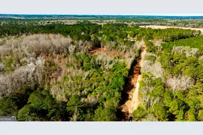 0 Riggs Mill La Riggs Mill Lane, Statesboro, GA 30458 - Photo 9