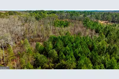 0 Riggs Mill La Riggs Mill Lane, Statesboro, GA 30458 - Photo 23