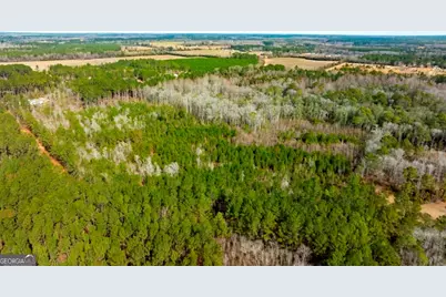 0 Riggs Mill La Riggs Mill Lane, Statesboro, GA 30458 - Photo 1