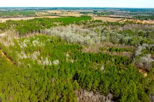 0 Riggs Mill La Riggs Mill Ln, Statesboro, GA 30458 - Photo 1