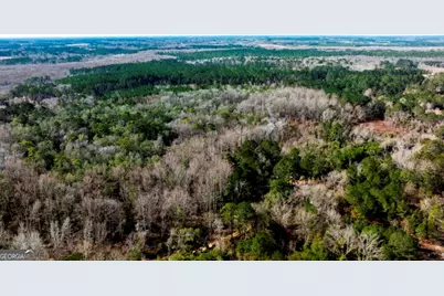 0 Riggs Mill La Riggs Mill Lane, Statesboro, GA 30458 - Photo 11