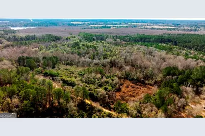 0 Riggs Mill La Riggs Mill Lane, Statesboro, GA 30458 - Photo 27
