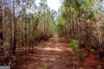 0 Riggs Mill La Riggs Mill Lane, Statesboro, GA 30458 - Photo 17