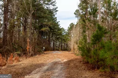 0 Riggs Mill La Riggs Mill Lane, Statesboro, GA 30458 - Photo 25