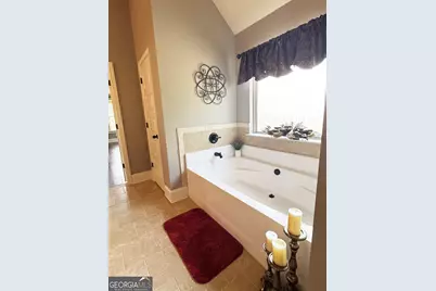 1869 Schofield Drive, Hampton, GA 30228 - Photo 37