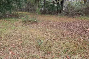 861 Brinson Rd, Brooklet, GA 30415 - Photo 1