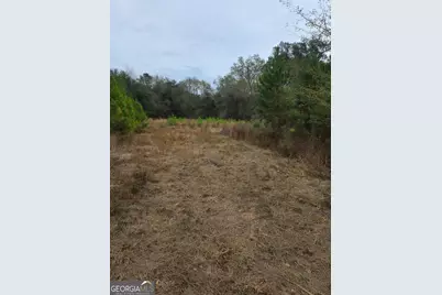 861 Brinson Road, Brooklet, GA 30415 - Photo 3
