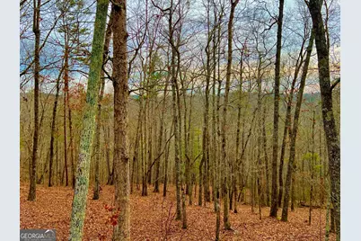 208 Harris Ridge Drive, Ellijay, GA 30540 - Photo 17