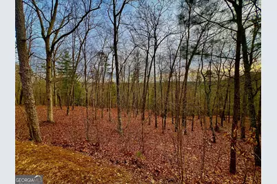 208 Harris Ridge Drive, Ellijay, GA 30540 - Photo 21