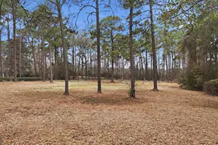 208 Timberline Rd, Statesboro, GA 30461 - Photo 61