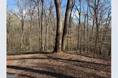 0 Shadow Mountain Drive #32, Dillard, GA 30537 - Photo 13