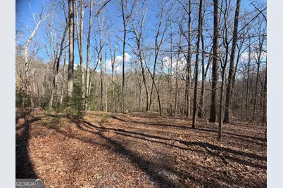 0 Shadow Mountain Drive #32, Dillard, GA 30537 - Photo 11
