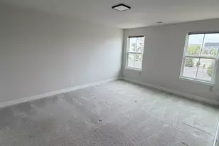 360 Salt Lk Ln, Hoschton, GA 30548 - Photo 17