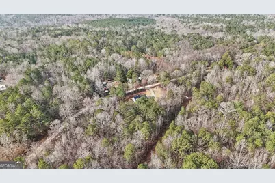 1475 Ben Davis Road, Buchanan, GA 30113 - Photo 13