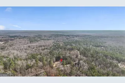 1475 Ben Davis Road, Buchanan, GA 30113 - Photo 15