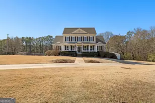 4353 Lower Fayetteville Rd, Sharpsburg, GA 30277 - Photo 9