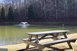 215 Zenith Trail, Ellijay, GA 30540 - Photo 71