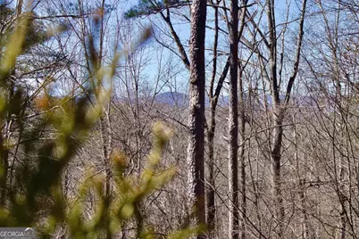 215 Zenith Trail, Ellijay, GA 30540 - Photo 59