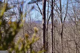 215 Zenith Trail, Ellijay, GA 30540 - Photo 59