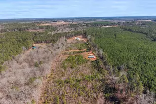 700 Ga Hwy 87, Flovilla, GA 30216 - Photo 65