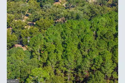 6102 Newton Road, Albany, GA 31721 - Photo 13