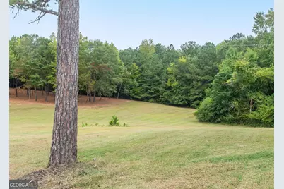 375 Luther Bailey Road, Senoia, GA 30276 - Photo 33