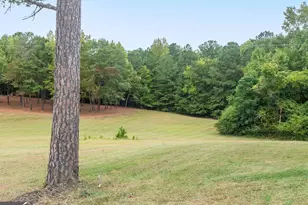 375 Luther Bailey Rd, Senoia, GA 30276 - Photo 33