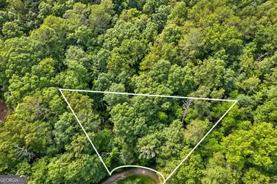 0 Noah Court, Ellijay, GA 30540 - Photo 7
