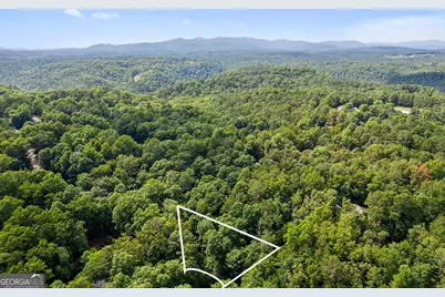 0 Noah Court, Ellijay, GA 30540 - Photo 3