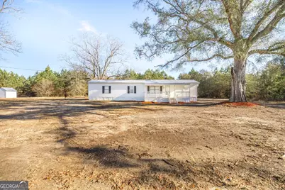 1153 Chester Alamo Road, Chester, GA 31012 - Photo 9