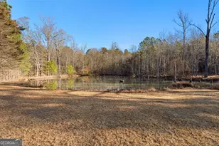 4101 W Ellis Rd, Griffin, GA 30223 - Photo 119