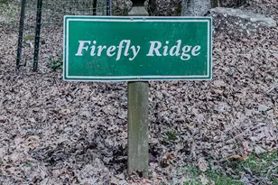 290 Ruby Ln, Ellijay, GA 30536 - Photo 55