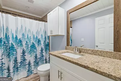 51 Perry Lane, Buchanan, GA 30113 - Photo 21