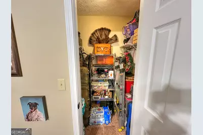 24 Rebel Road, Newnan, GA 30263 - Photo 21